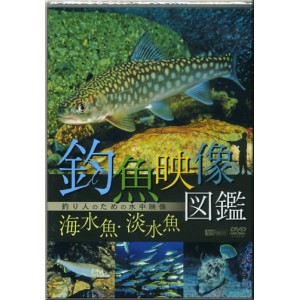 【DVD】TAKEO　釣魚映像図鑑釣り人のための水中映像　海水魚・淡水魚