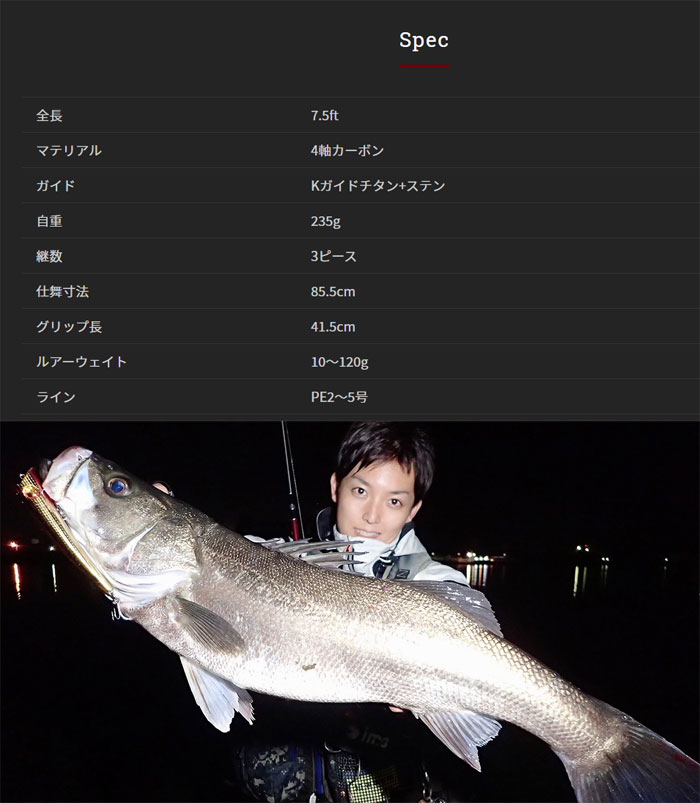 独特の上品 Fishman comodo フィッシュマン sushitai.com.mx