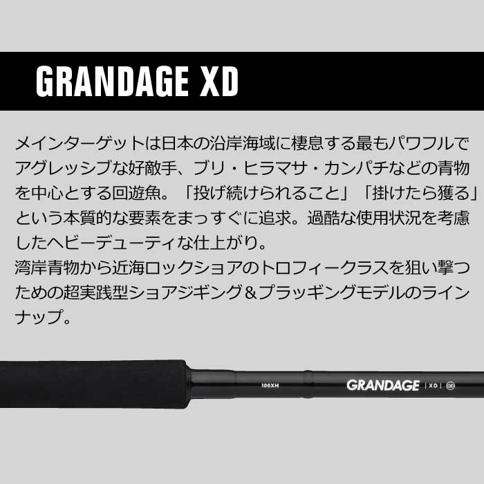 アピア グランデージXD 100XH APIA GRANDAGE - 【バス＆ソルトのルアー 