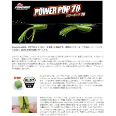 バークレイ　パワーポップ　70　【1】　Berkley　POWER POP