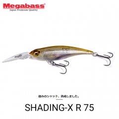 【全14色】メガバス　シャッディングX　R75　フローティング　Megabass　