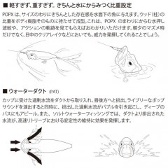 メガバス 【2024大阪受注会限定】POPX DRAGON FISH G