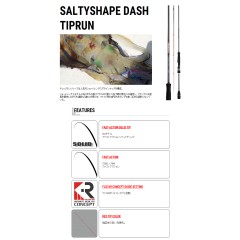 tail walk/テイルウォーク　Salty Shape DASH /ソルティーシェイプスダッシュ　TIPRUN/ティップラン　64ML/SL