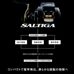 Daiwa 21 Saltiga IC 100P-DH/100PL-DH