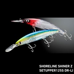 Daiwa Shoreline Shiner Z Set Upper 125SDR-LI