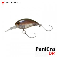 JACKALL TIMON Panicura DR [1]