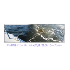 BMO JAPAN  （ビーエムオージャパン） シーアンカー　XL10074