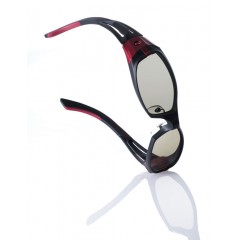 Zeal polarized sunglasses　VERO2nd　F-1731