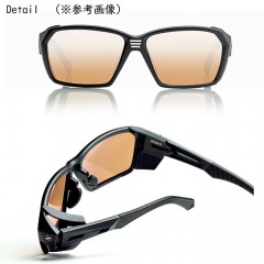 Zeal Polarized sunglasses Roof F-2042