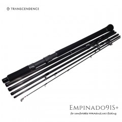 TRANSCENDENCE Empinado91S+