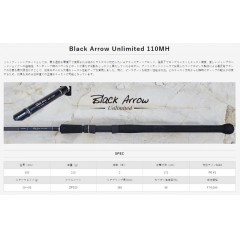 AIMS　Black Arrow Unlimited　110MH