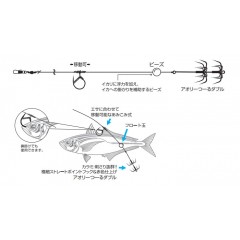 Katsuichi　iKAKura　squid　No,1　aorispecial