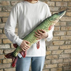 Dalton fish cushion pike 85cm