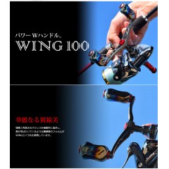 [Easy Custom]  Wing 100mm Fino + Fire  All Titanium Custom  Spinning Double Handle