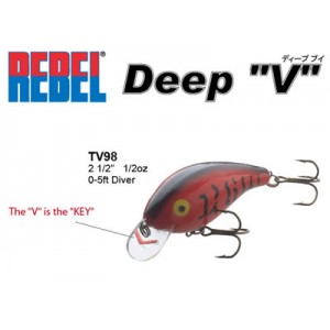 REBEL/レーベル　Deep V/ディープブイ