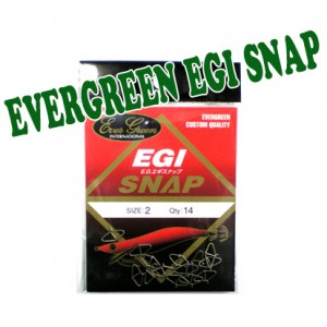 Evergreen EGI Egi Snap