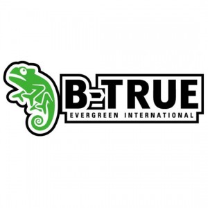 Evergreen Bee True Boat Deck Sticker B-TRUE