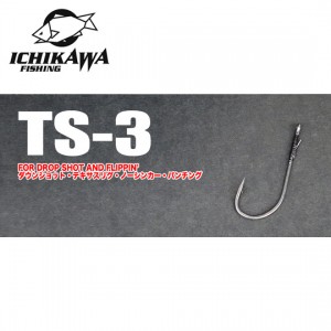イチカワフィッシング　TS-3　ICHIKAWA FISHING
