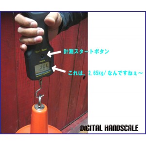 DIGITAL HANDING SCALE/デジタルハンドスケール
