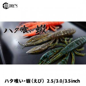 RUDIES Grouper-eating shrimp