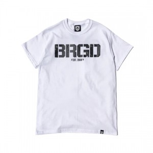 バスブリゲード　レイクカモBRGDロゴTシャツ　BLTE02　BASS BRIGADE