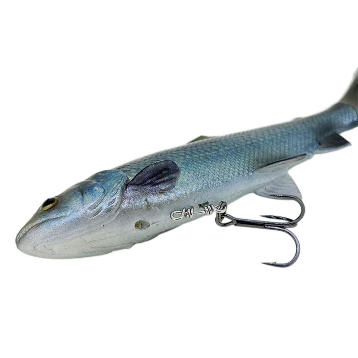 SAVAGE GEAR 4D LT Pulse Tail Trout SS 6inch - 【Bass Trout Salt lure fishing  web order shop】BackLash｜Japanese fishing tackle｜