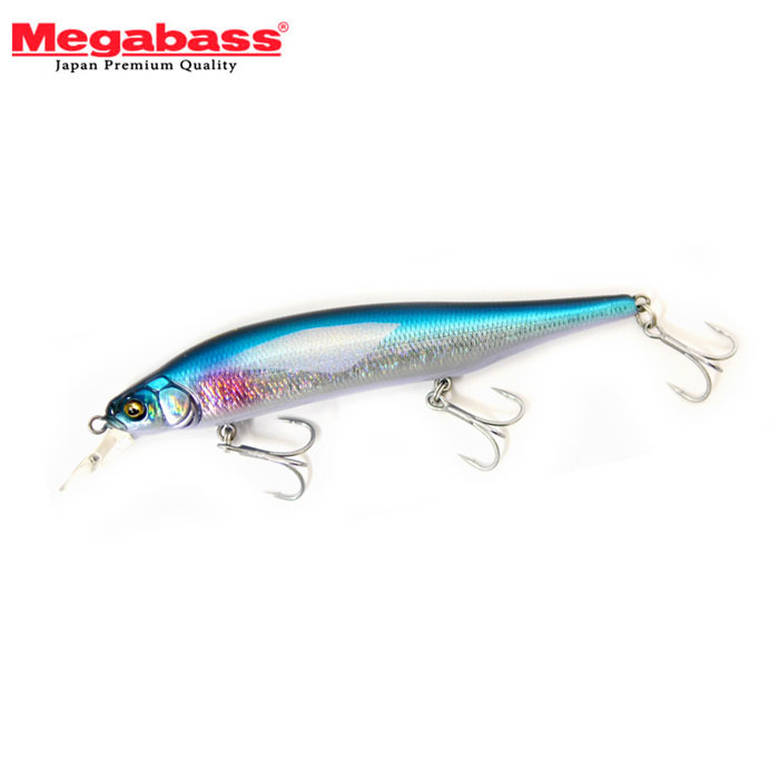 Megabass X-80 Magnum Wholesaler bespoke color - 【Bass Trout Salt lure  fishing web order shop】BackLash｜Japanese fishing tackle｜