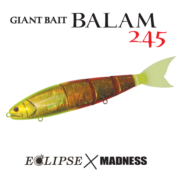 BALAM245