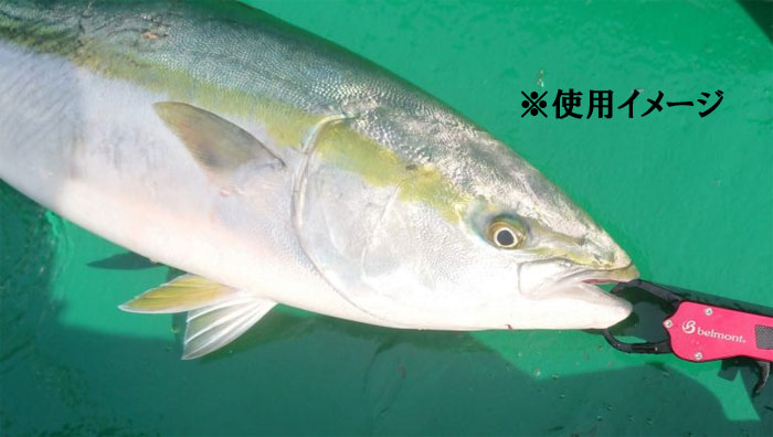belmont Metal fish grip - 【Bass Trout Salt lure fishing web order  shop】BackLash｜Japanese fishing tackle｜