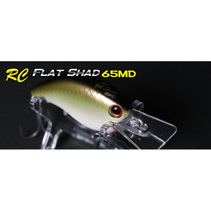 Ichikawa Fishing RC FLAT SHAD 65MD - 【Bass Trout Salt lure